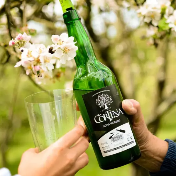 Sidra Natural Cortina (0,70L) - 12ud