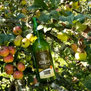 Sidra Natural Ecológica Cortina (0,70L) - 6ud: imagen 2