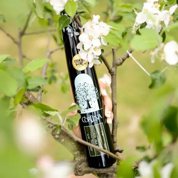 Sidra de Hielo Cortina (0,375L) - 1ud